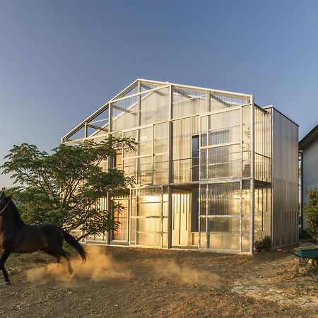 Anonima Agricola Villa Orbetello Eksteriør billede