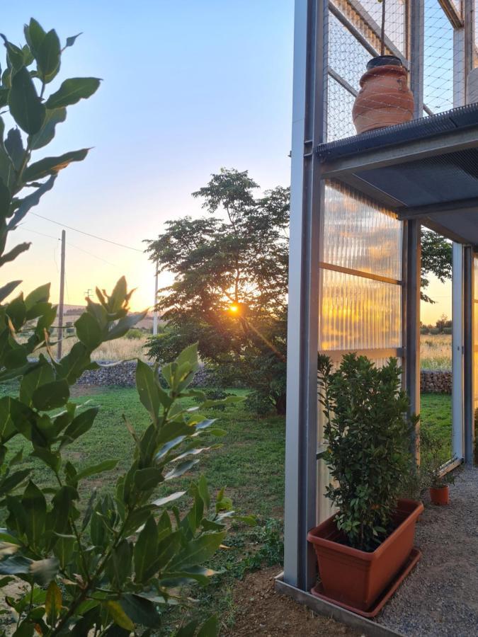 Anonima Agricola Villa Orbetello Eksteriør billede