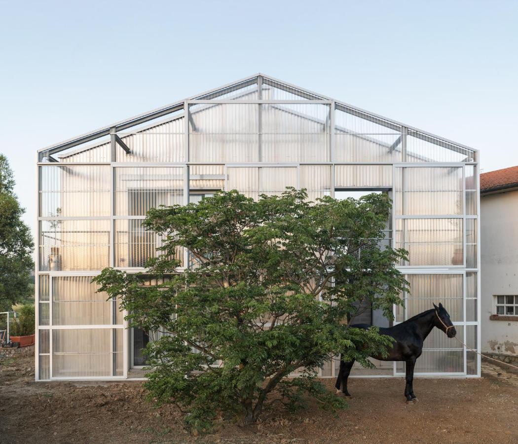 Anonima Agricola Villa Orbetello Eksteriør billede